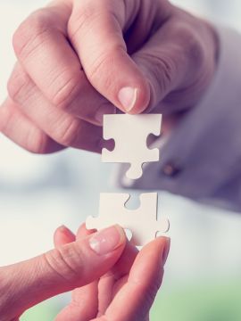 About the Partnership